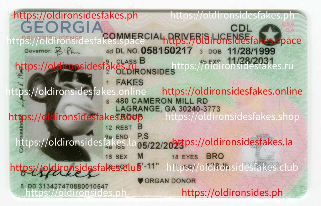 Top 5 Fake ID Providers in 2026: Which Is the Best